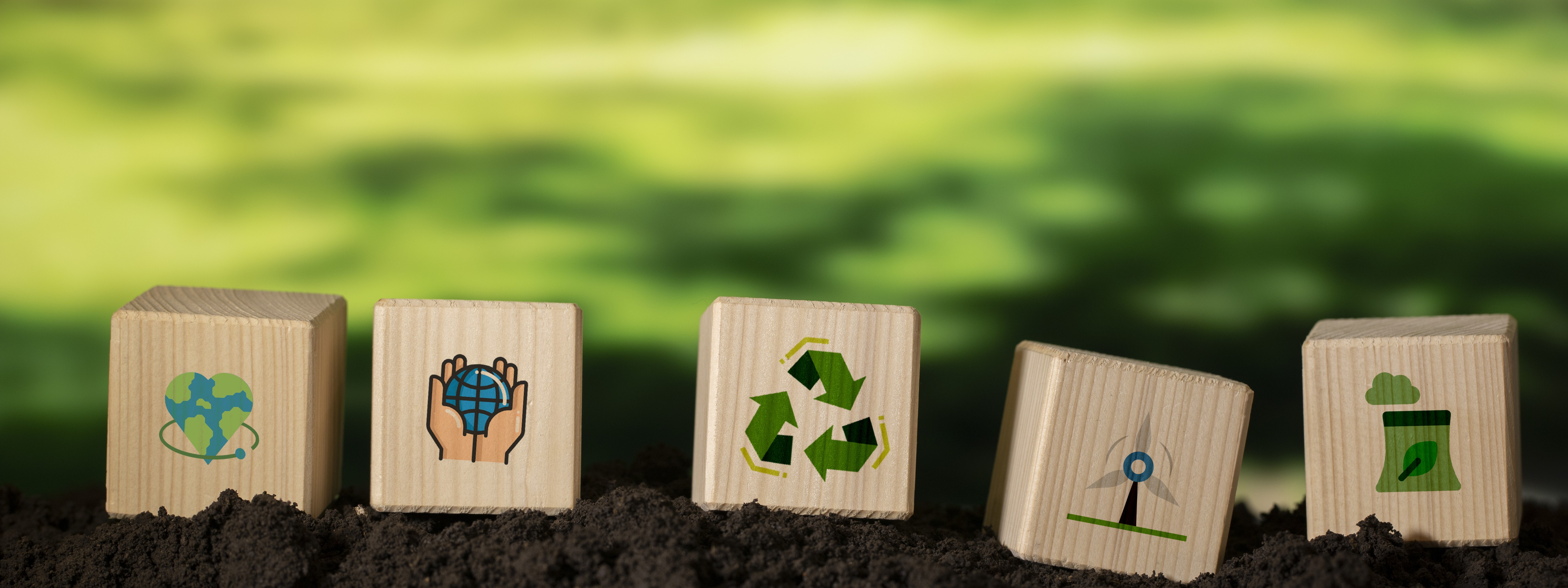 Could You Be The Next Chief Sustainability Officer?